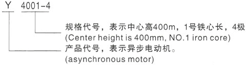 西安泰富西玛Y系列(H355-1000)高压YKK4502-6/355KW三相异步电机型号说明