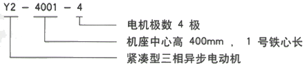 YR系列(H355-1000)高压YKK4502-6/355KW三相异步电机西安西玛电机型号说明